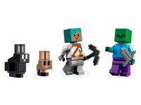 LEGO 21181 - Bild 10