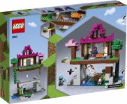 LEGO 21183 - Verpackung Rueckseite