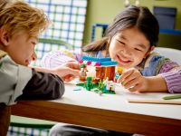 LEGO 21184 - Bild 7