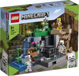 LEGO 21189 - Verpackung Ansicht 1