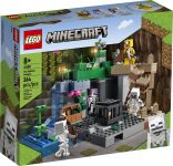 LEGO 21189 - Verpackung Ansicht 1