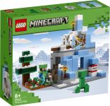 LEGO 21243 - Verpackung Ansicht 1