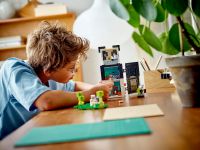 LEGO 21245 - Bild 8