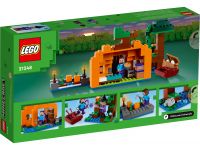 LEGO 21248 - Verpackung Rueckseite