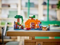 LEGO 21248 - Bild 9