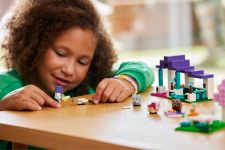 LEGO 21253 - Bild 7