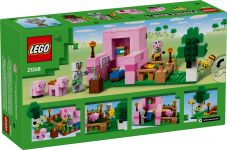 LEGO 21268 - Verpackung Rueckseite