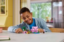 LEGO 21268 - Fertige Modelle in Aktion