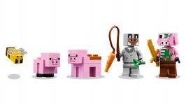 LEGO 21268 - Detailansicht 1
