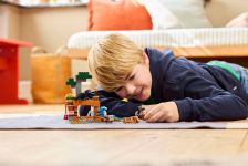 LEGO 21269 - Fertige Modelle in Aktion