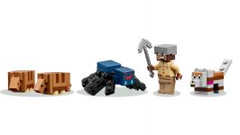 LEGO 21269 - Detailansicht 1