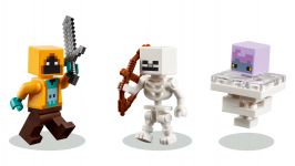 LEGO 21271 - Detailansicht 1