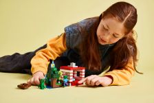 LEGO 21275 - Fertiges Modell 3