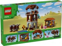 LEGO 21278 - Verpackung Rueckseite