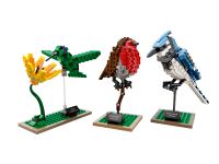 LEGO Ideas 21301 Birds LEGO_21301.jpg