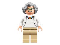 LEGO 21312 - Bild 8