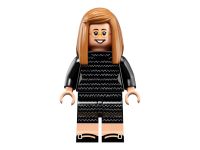 LEGO 21312 - Bild 9