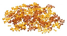 LEGO Ideas 21318 Baumhaus LEGO_21318_alt8.jpg