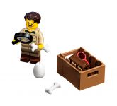 LEGO 21320 - Bild 14