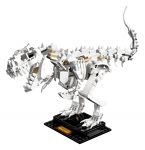 LEGO 21320 - Bild 2
