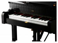 LEGO 21323 - Bild 11