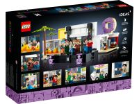 LEGO 21339 - Verpackung Rueckseite