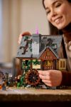 LEGO 21341 - Lifestyle-Aufnahme