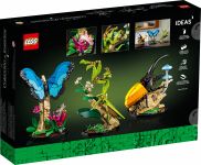 LEGO 21342 - Verpackung Rueckseite