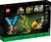 LEGO 21342 - Bild 6