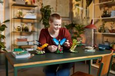 LEGO 21342 - Bild 7