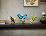 LEGO 21342 - Bild 9