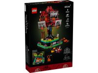 LEGO 21346 - Verpackung Rueckseite