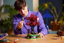 LEGO 21346 - Bild 6