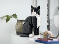 LEGO 21349 - Umgebungsbild 5