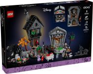 LEGO 21351 - Verpackung Rueckseite