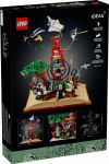LEGO 21355 - Verpackung Rueckseite
