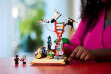 LEGO 21355 - Bauphase 7