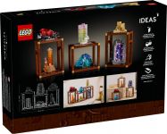 LEGO 21362 - Verpackung Rueckseite