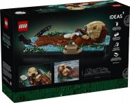 LEGO 21366 - Verpackung Rueckseite