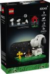 LEGO 21368 - Verpackung Rueckseite
