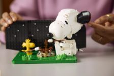 LEGO 21368 - Bauphase 5