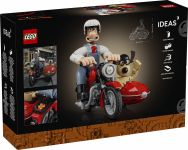 LEGO 21371 - Verpackung Rueckseite