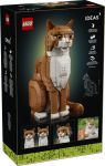 LEGO 21376 - Verpackung Rueckseite