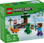 LEGO 21583 - Verpackung Ansicht 1