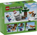 LEGO 21583 - Verpackung Rueckseite