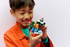LEGO 21583 - Fertiges Modell 2
