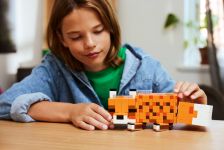 LEGO 21588 - Fertiges Modell 5