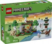 LEGO 21593 - Verpackung Ansicht 1