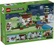 LEGO 21593 - Verpackung Rueckseite