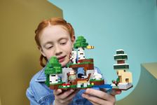 LEGO 21593 - Fertiges Modell 4